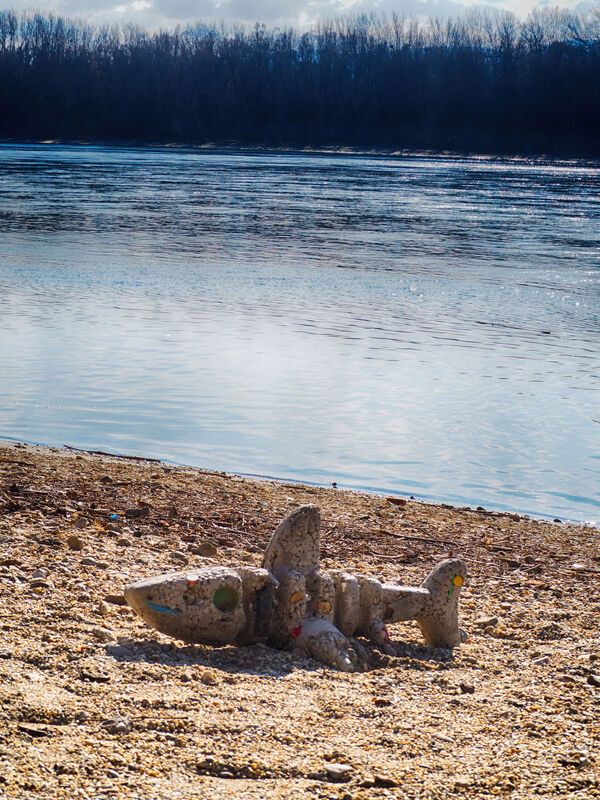 Danubian sharks фото превью