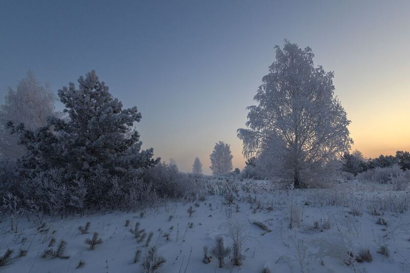 зима иней лес утро рассвет мороз изморозь Зимняя тишина фото превью