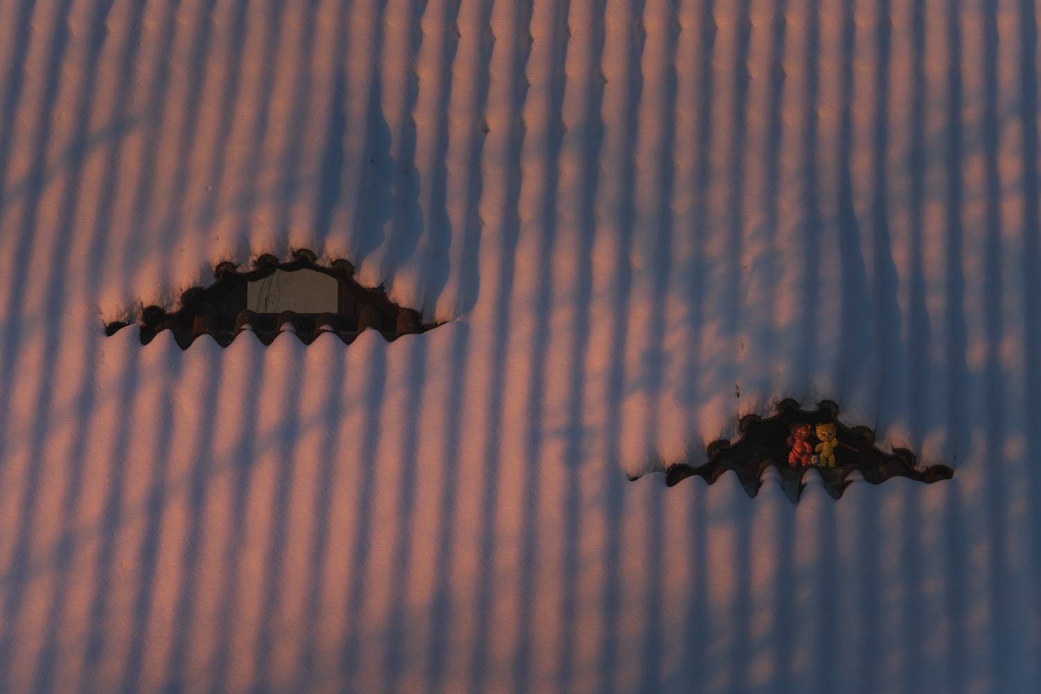 , Шимаковский Юрий