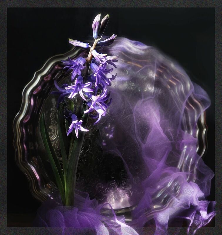 Я смотрю и думаю- вот весна… фото превью