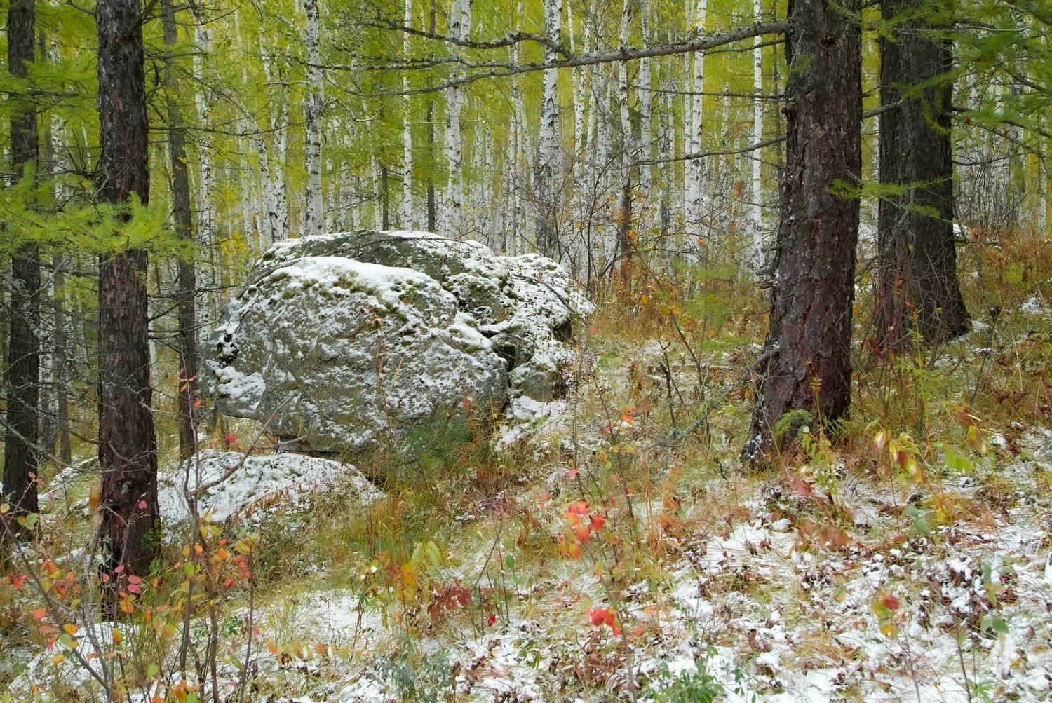 , Шустиков Дмитрий