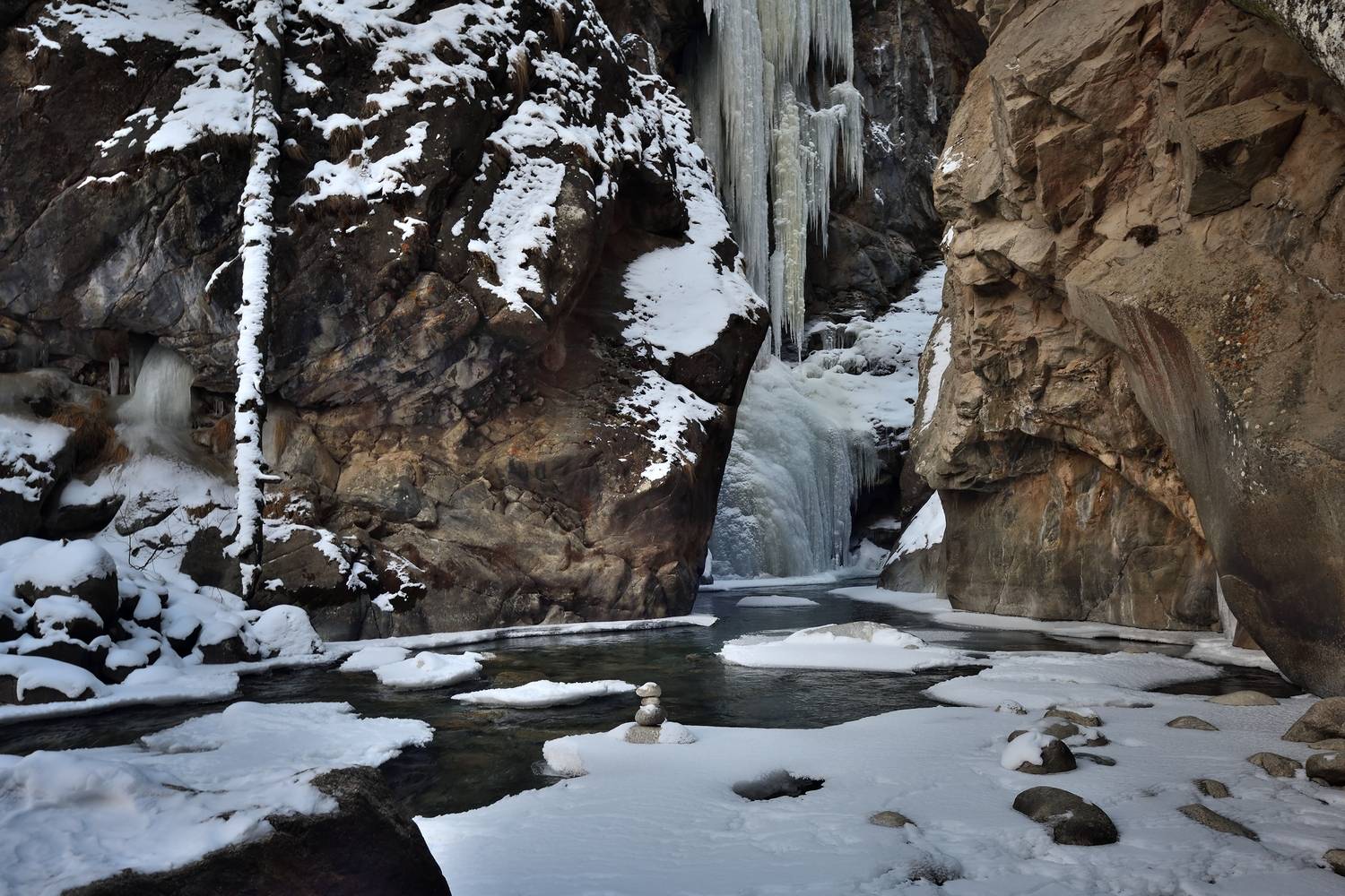 , Алексей Никонов