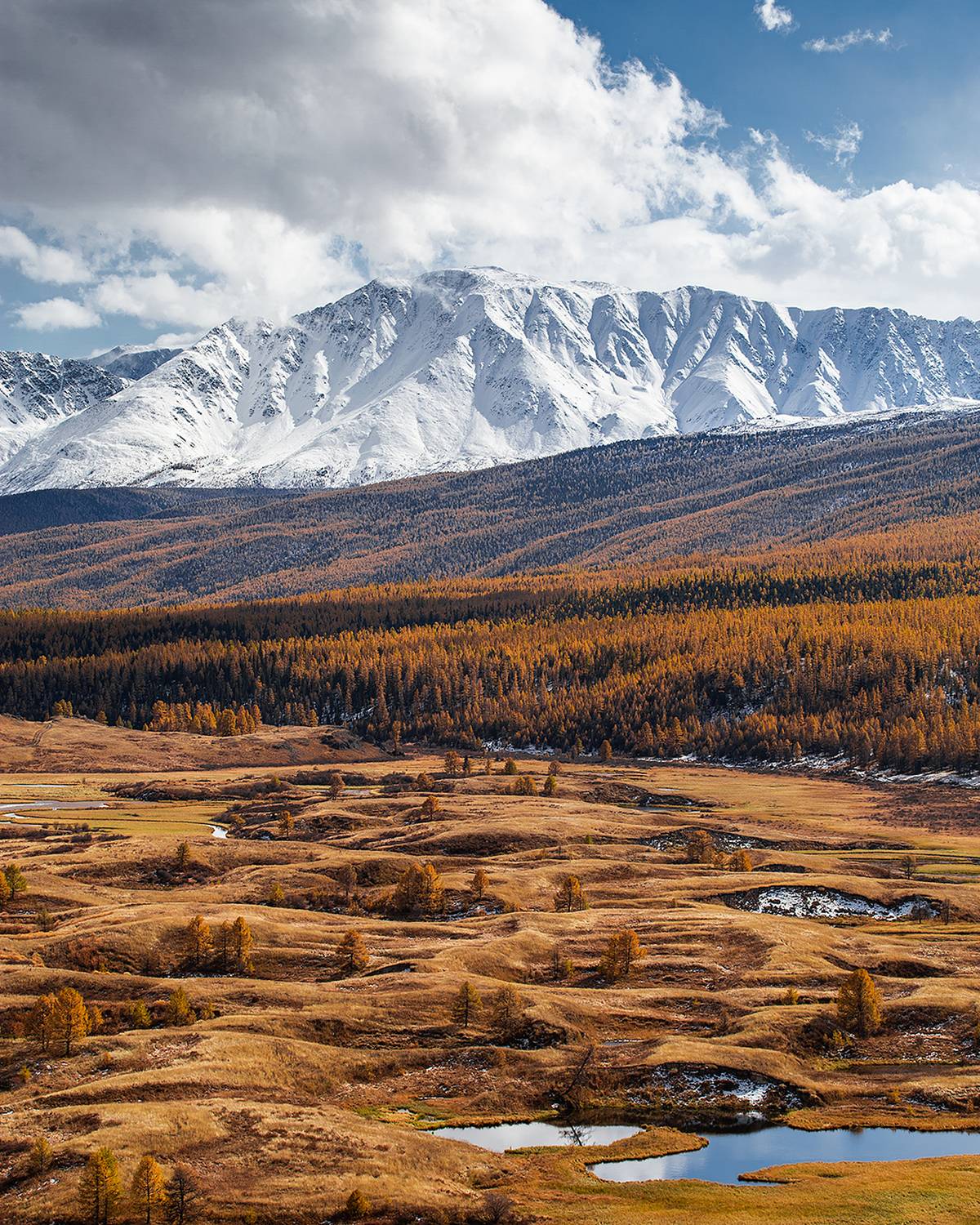 , Александр Артамонов