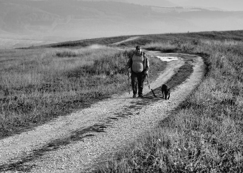 canon 550d,canon 6d On the way to the pasture фото превью