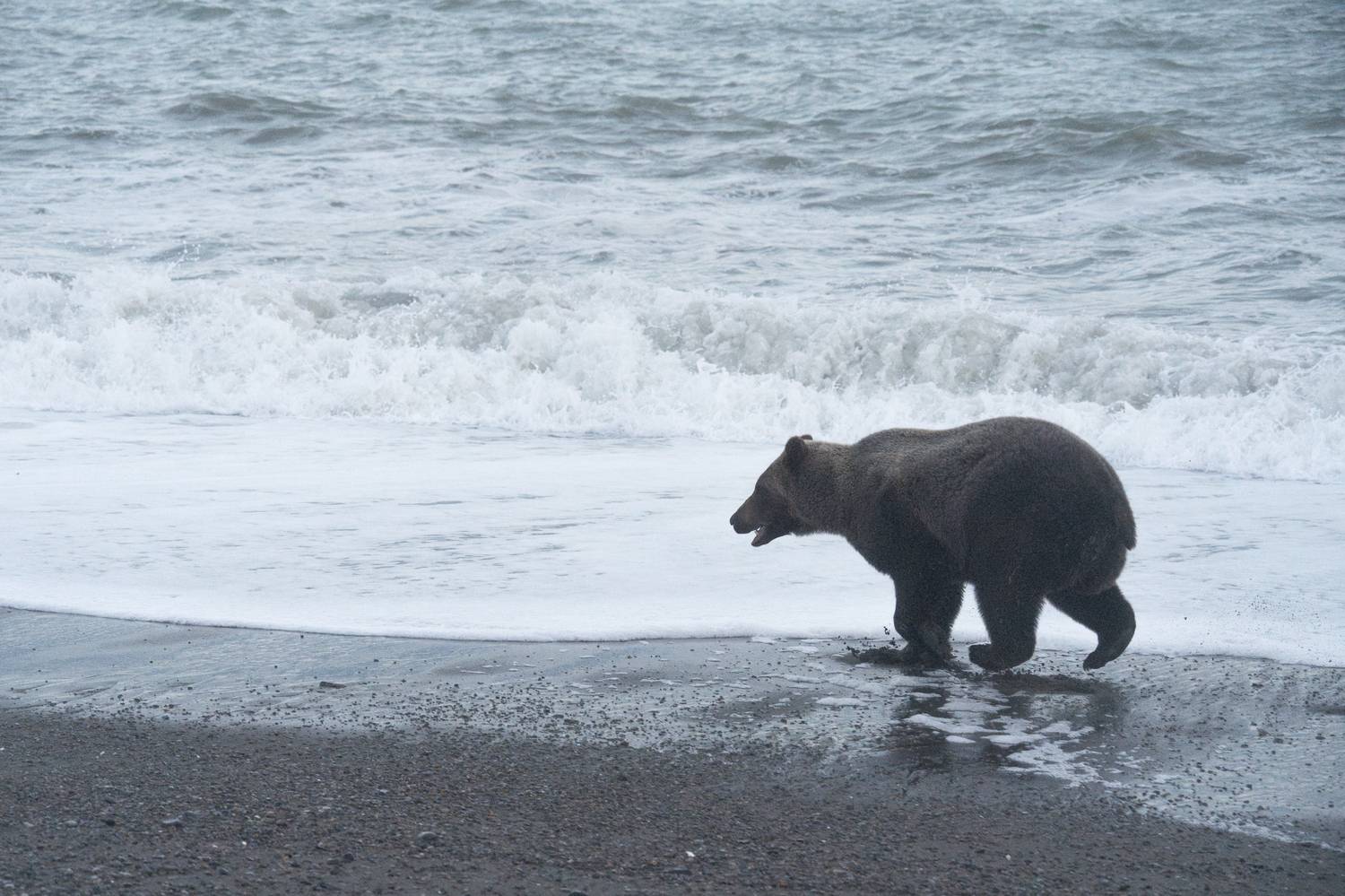 Чукотка, Андрей Гусаров