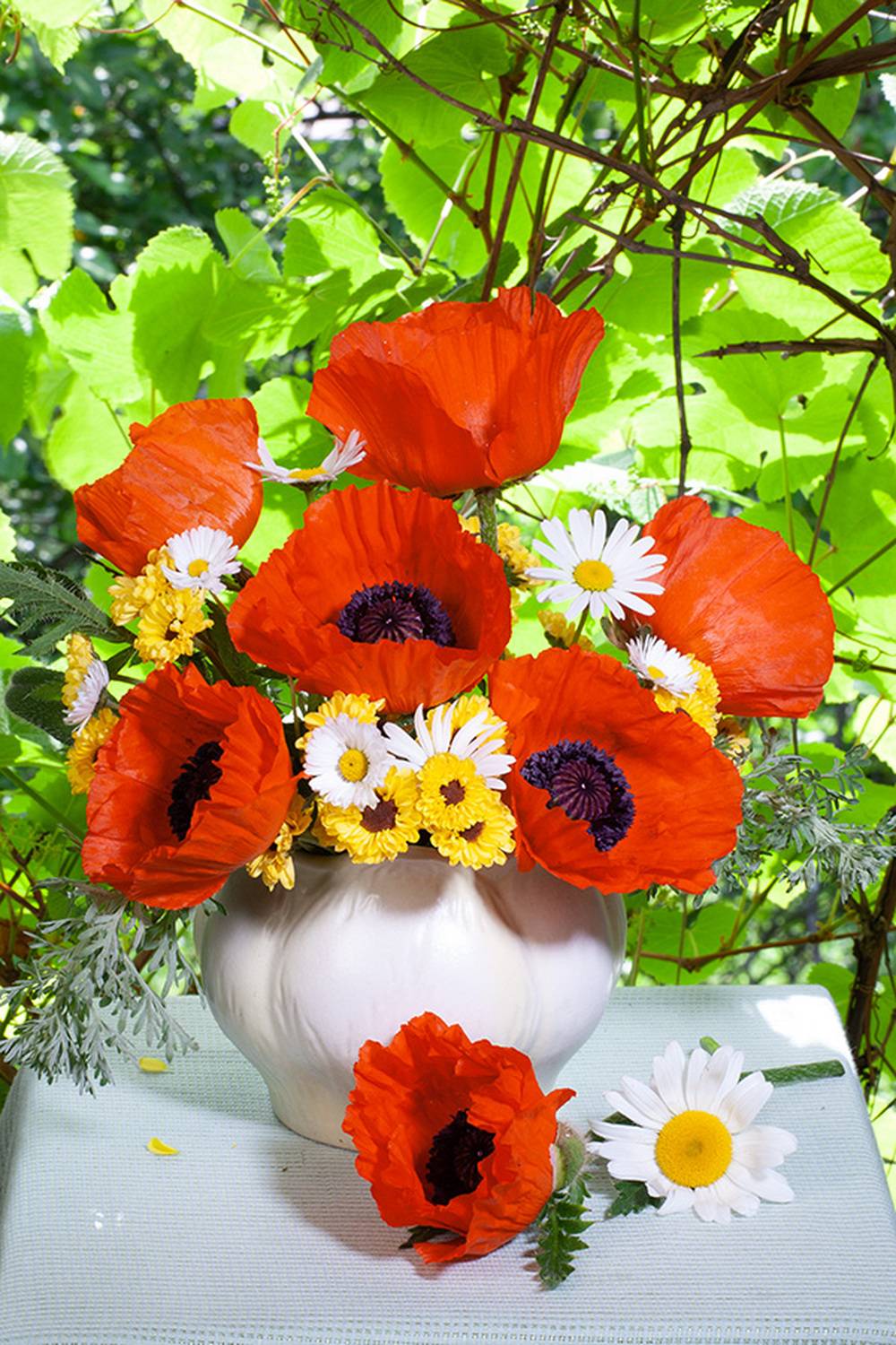 натюрморт, Бекетова Ольга