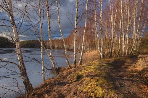 Весеннее настроение