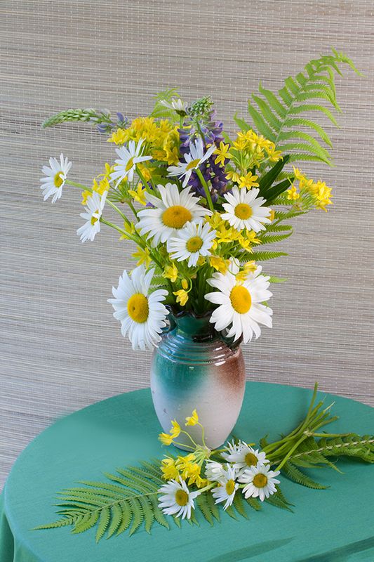 цветы ромашки Ромашки в зеленой вазе фото превью