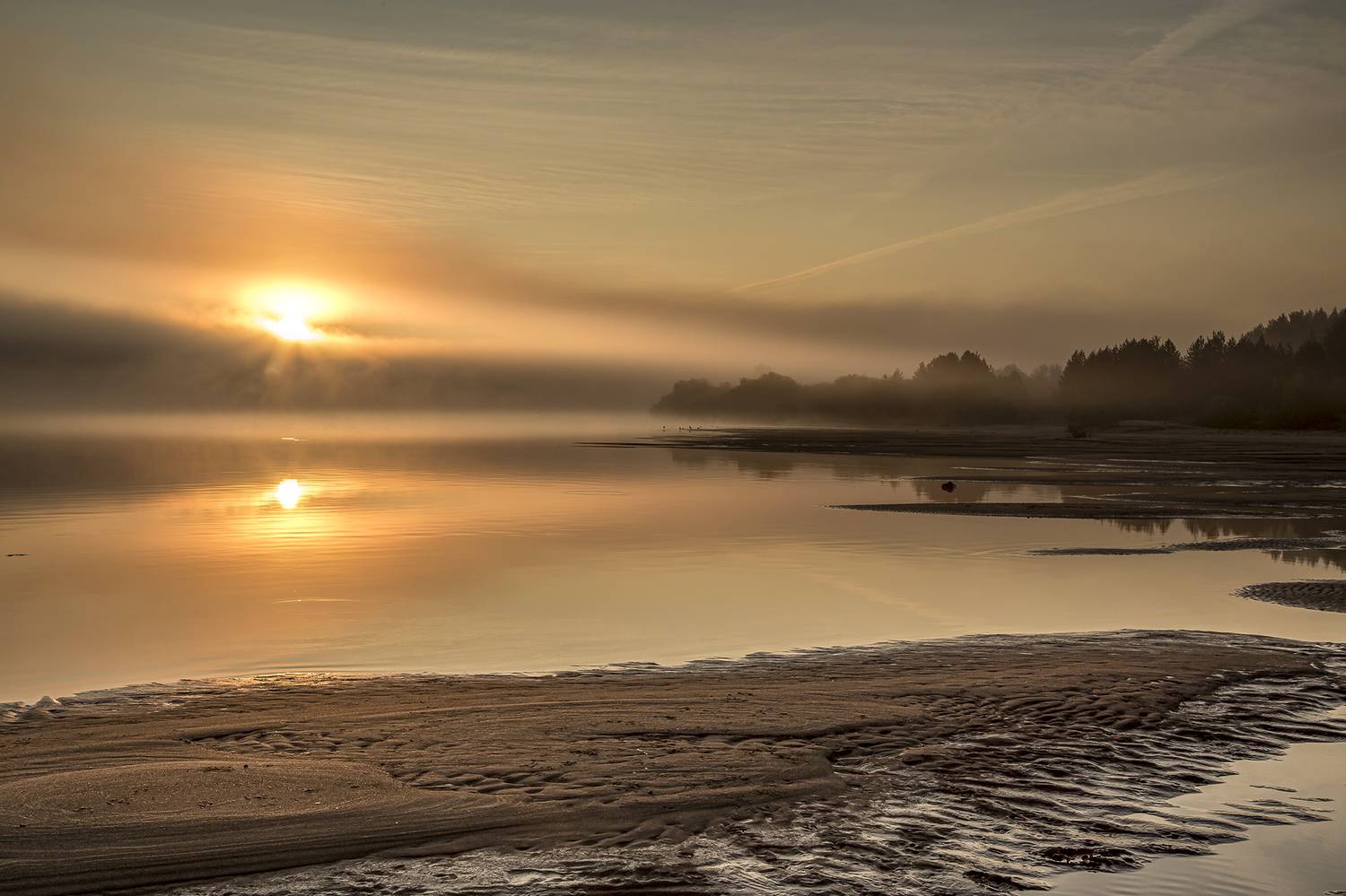 утро, туман, солнце, пляж, отражение, река, птицы, Анкудинов Леонид