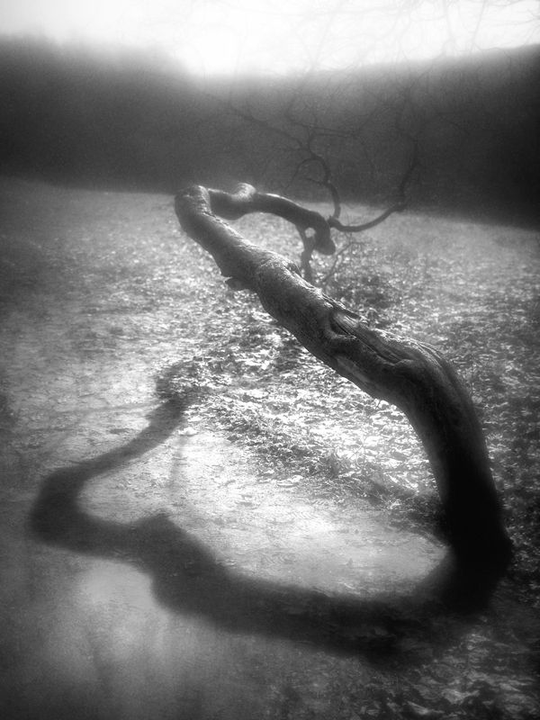 чб, абстракция Искушающий. фото превью