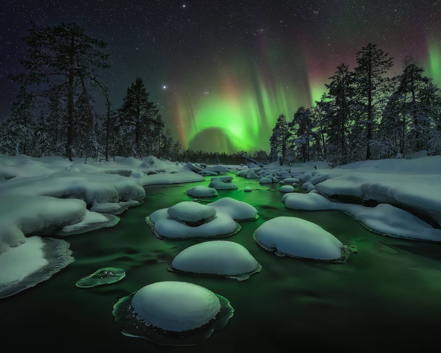 , Медянцев Дмитрий