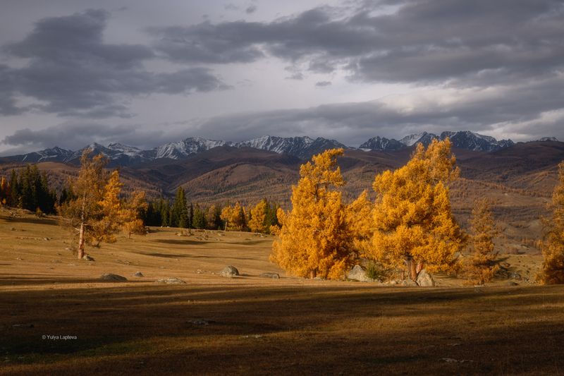 горный алтай \\\