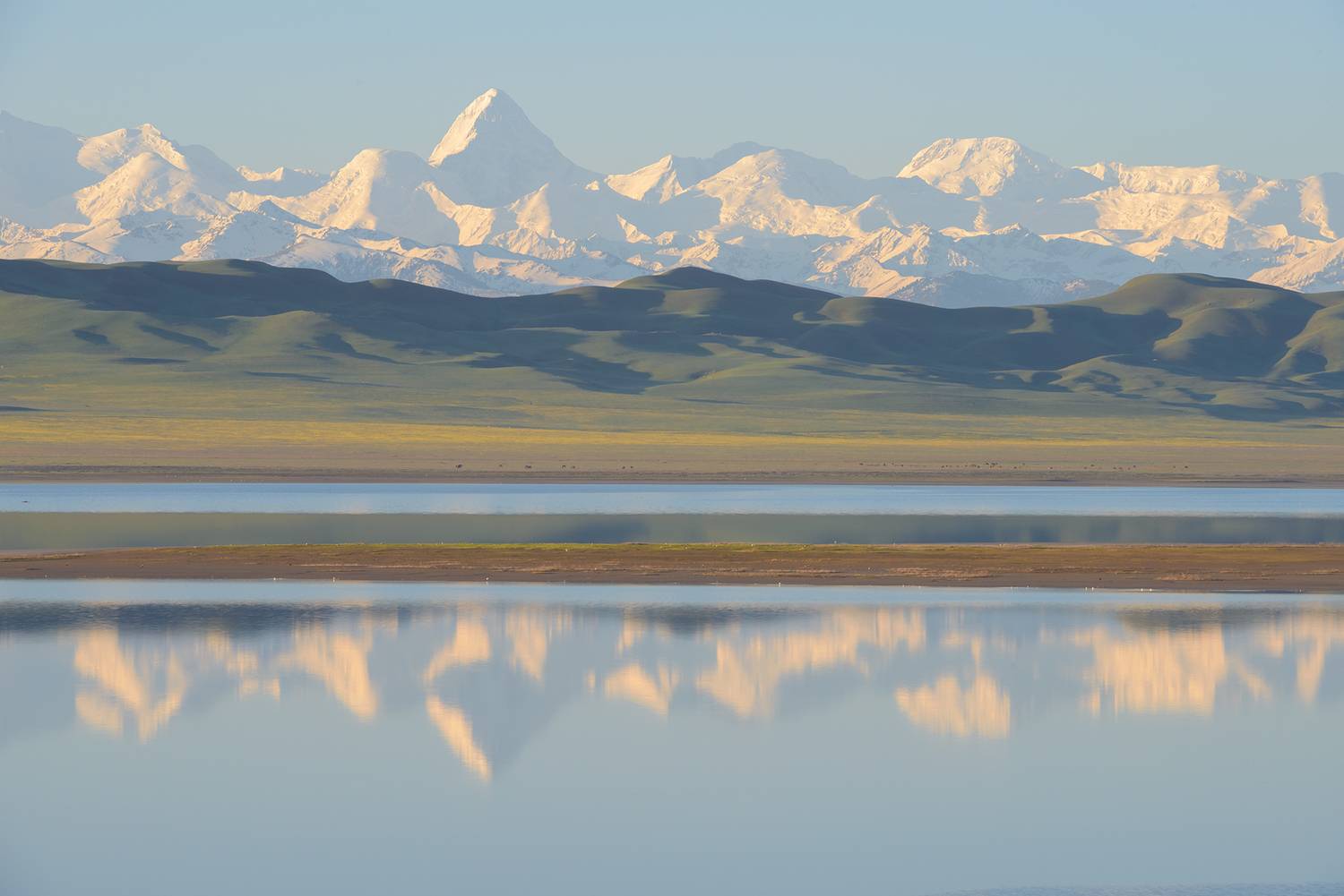 маки казахстан семиречье тянь-шань тяньшань тузколь каинды кольсай хантенгри, Эдуард Кутыгин
