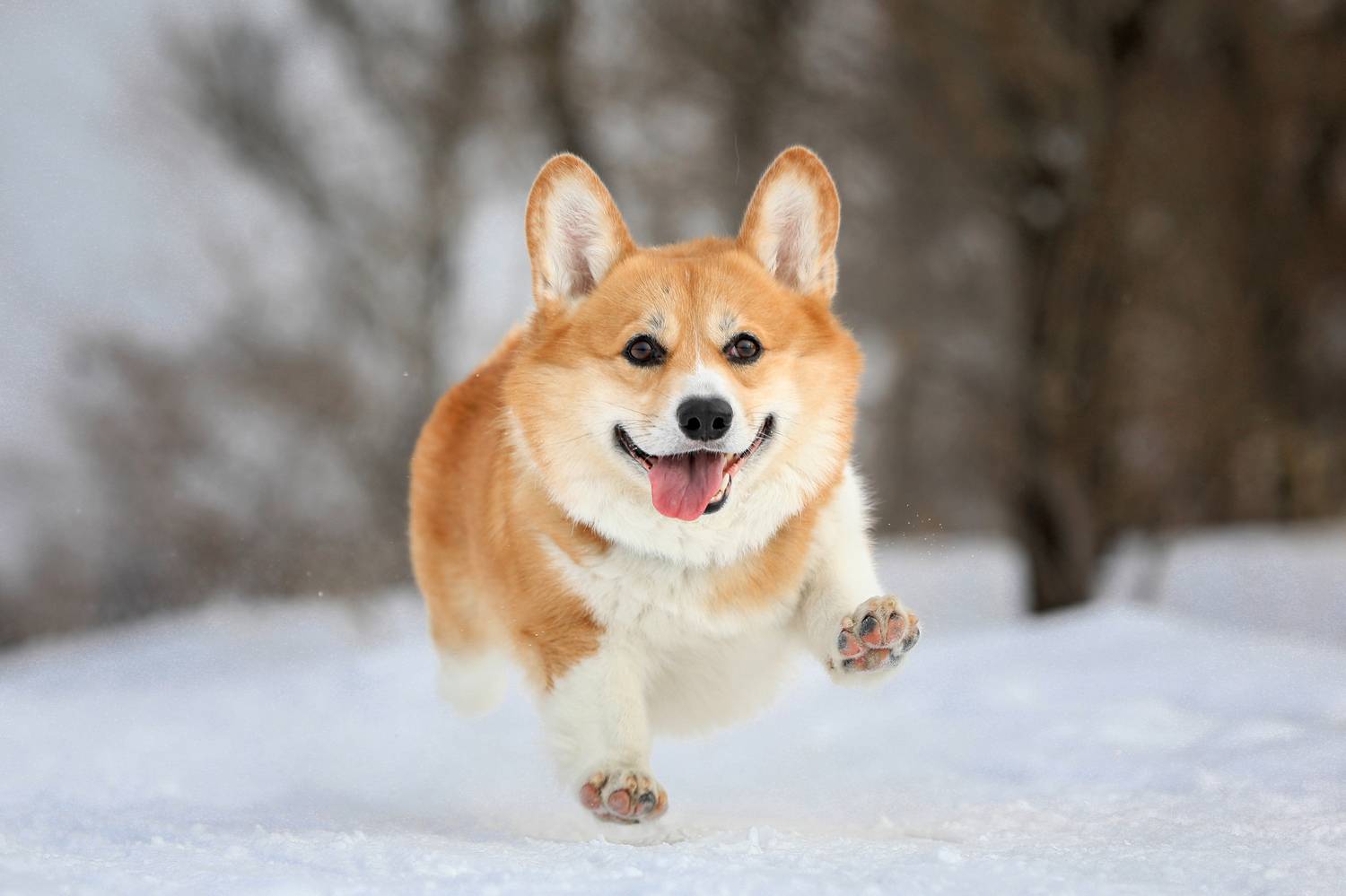 , Андрей Ершов