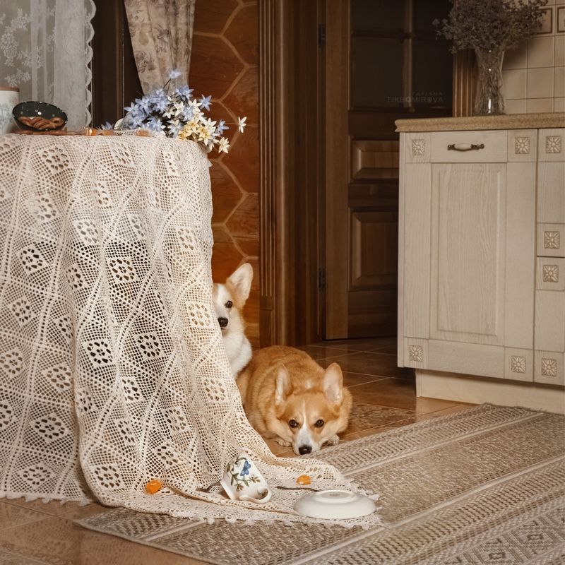 Одни дома фото превью