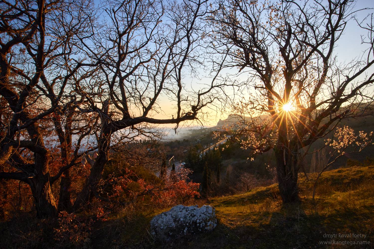 пейзажемагьё, пейзаж-как-виденье, Коваль Дмитр