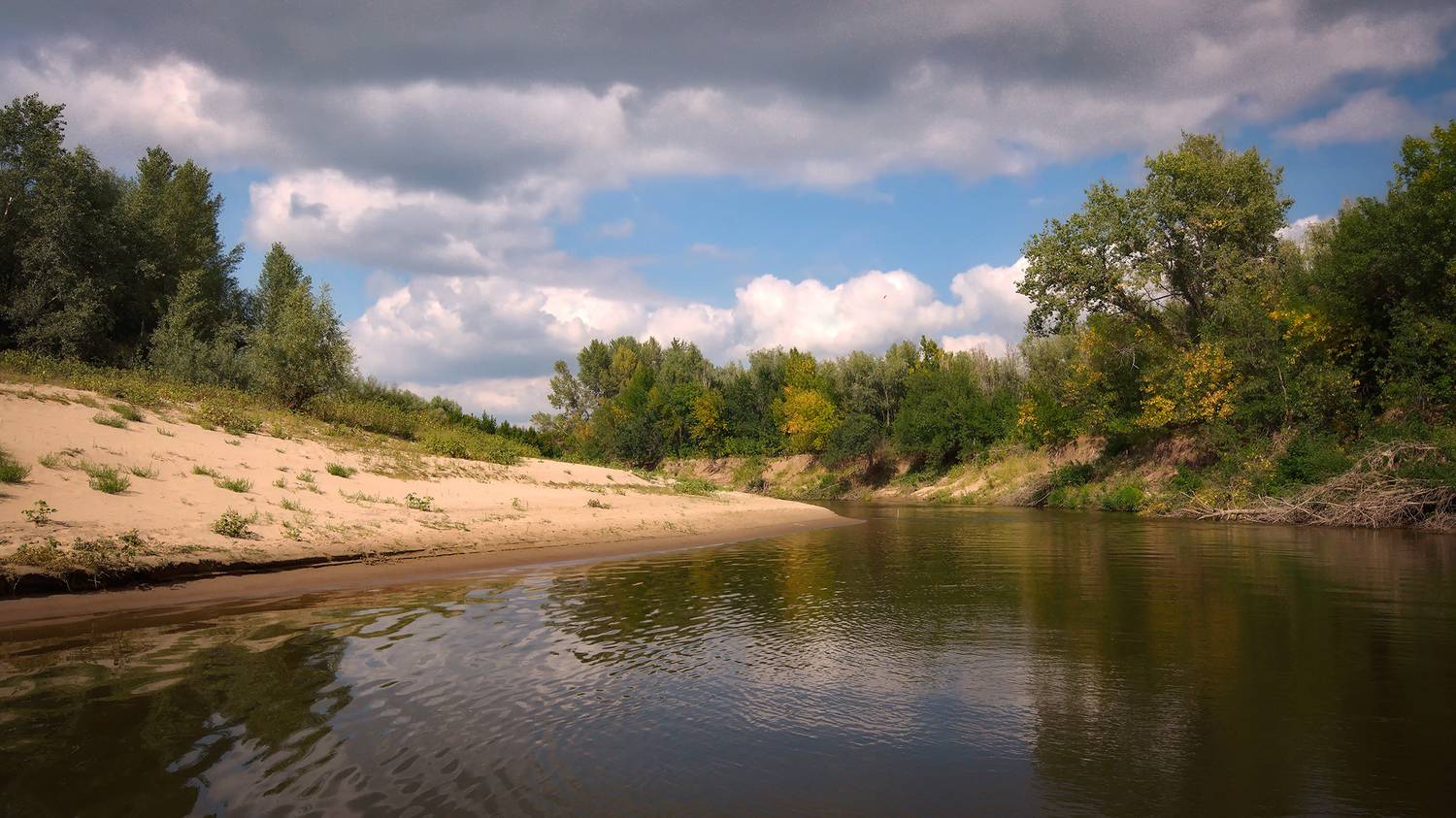 , Сергей Аникин