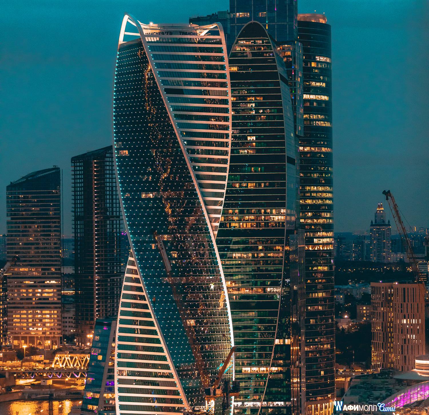 , Трепольский Дмитрий