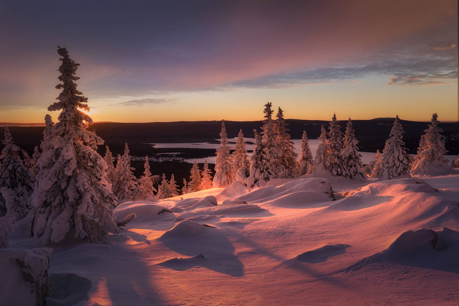 , Татьяна Бирюкова