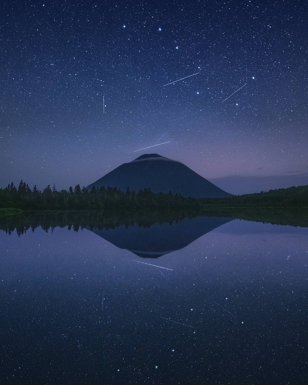 , Политова Анна