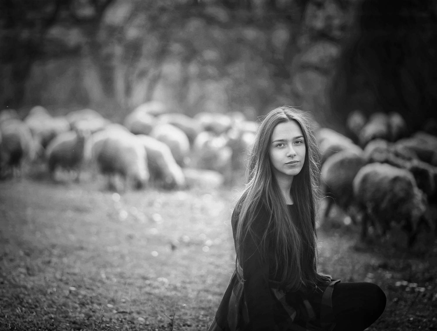 , Герчев Николай