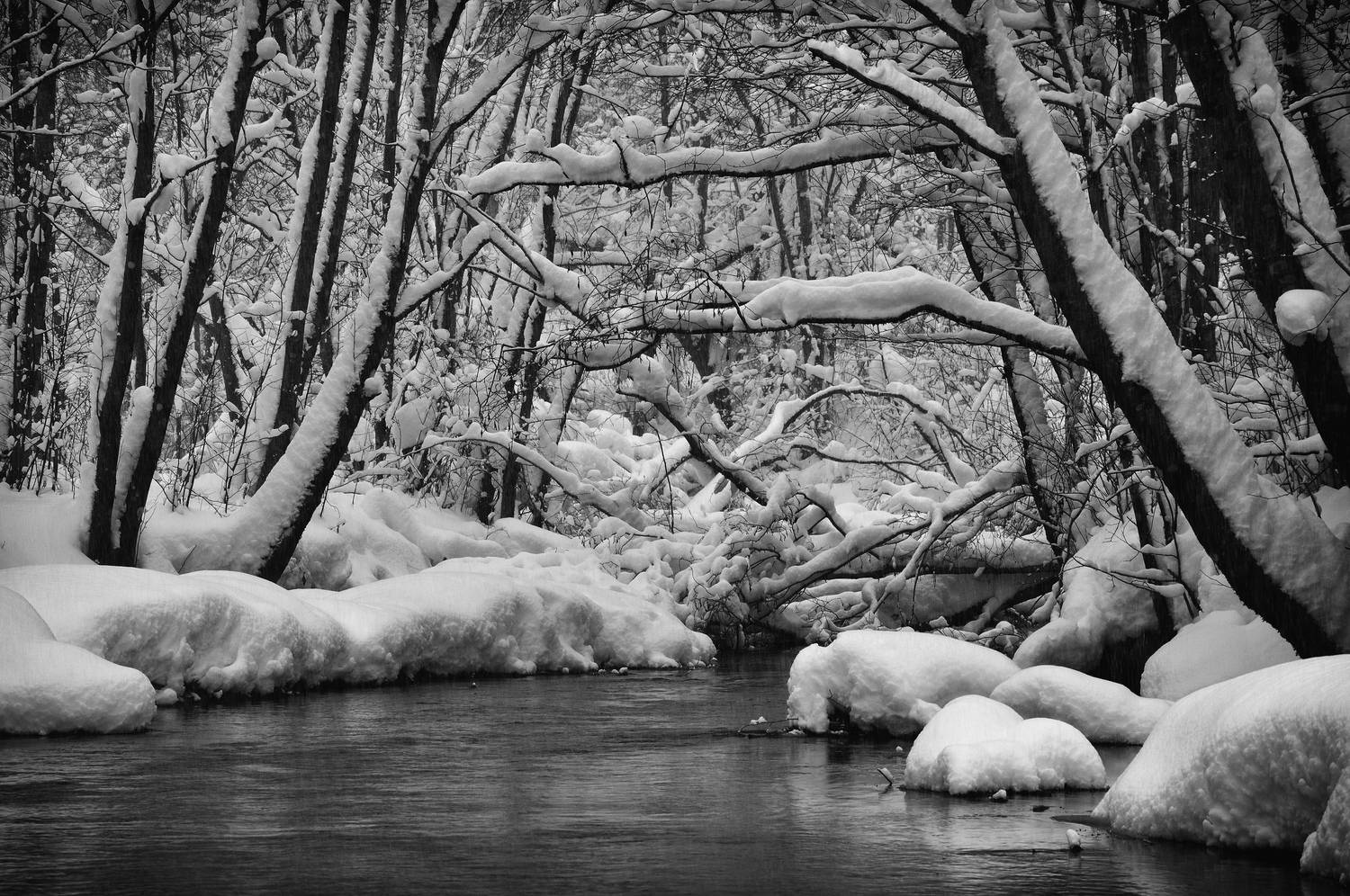 , Куликов Андрей