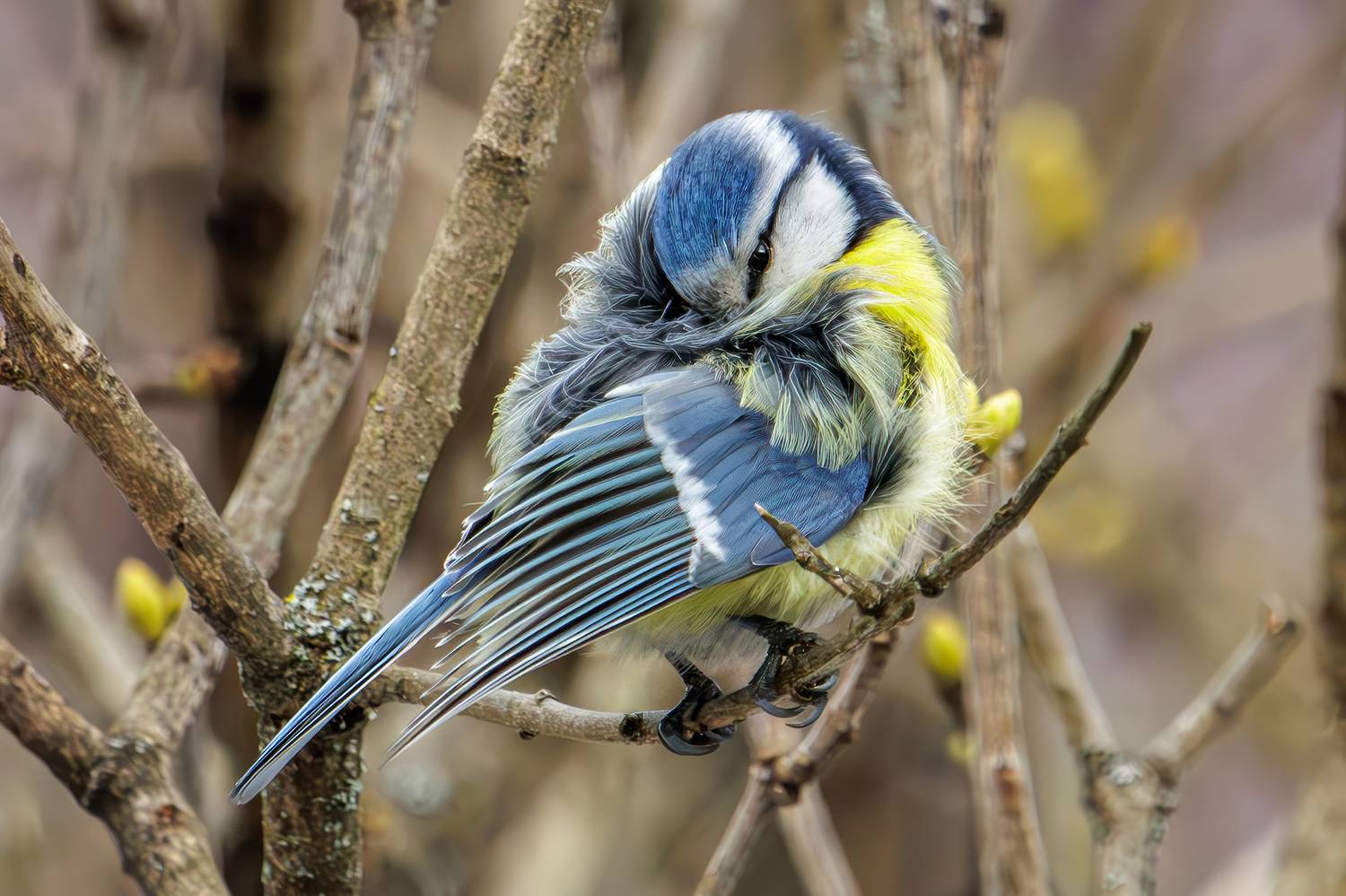 , Морозов Сергей