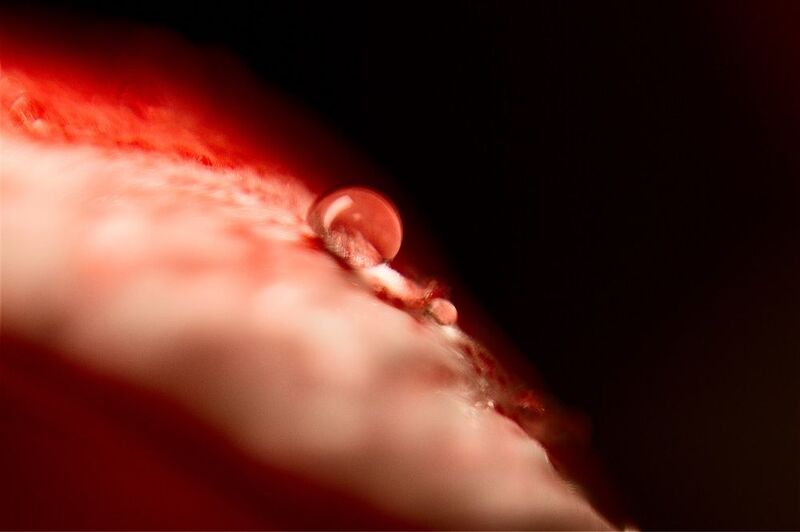 The drop фото превью