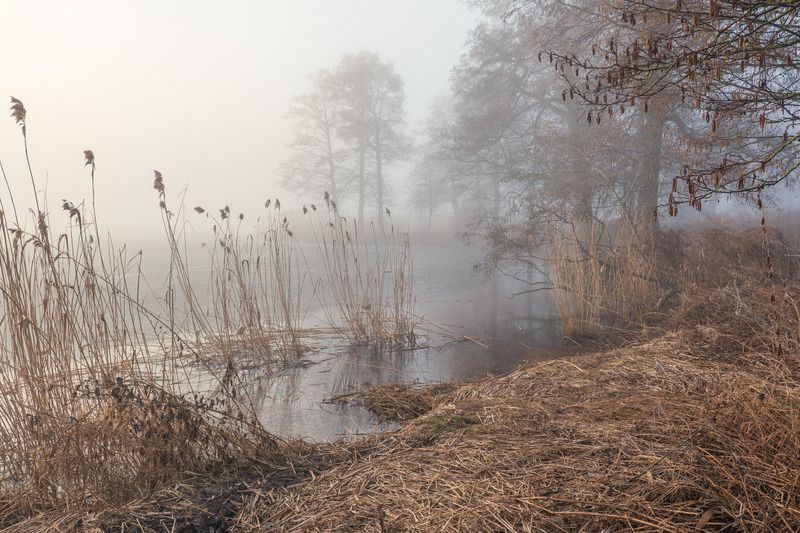 Утро в марте фото превью