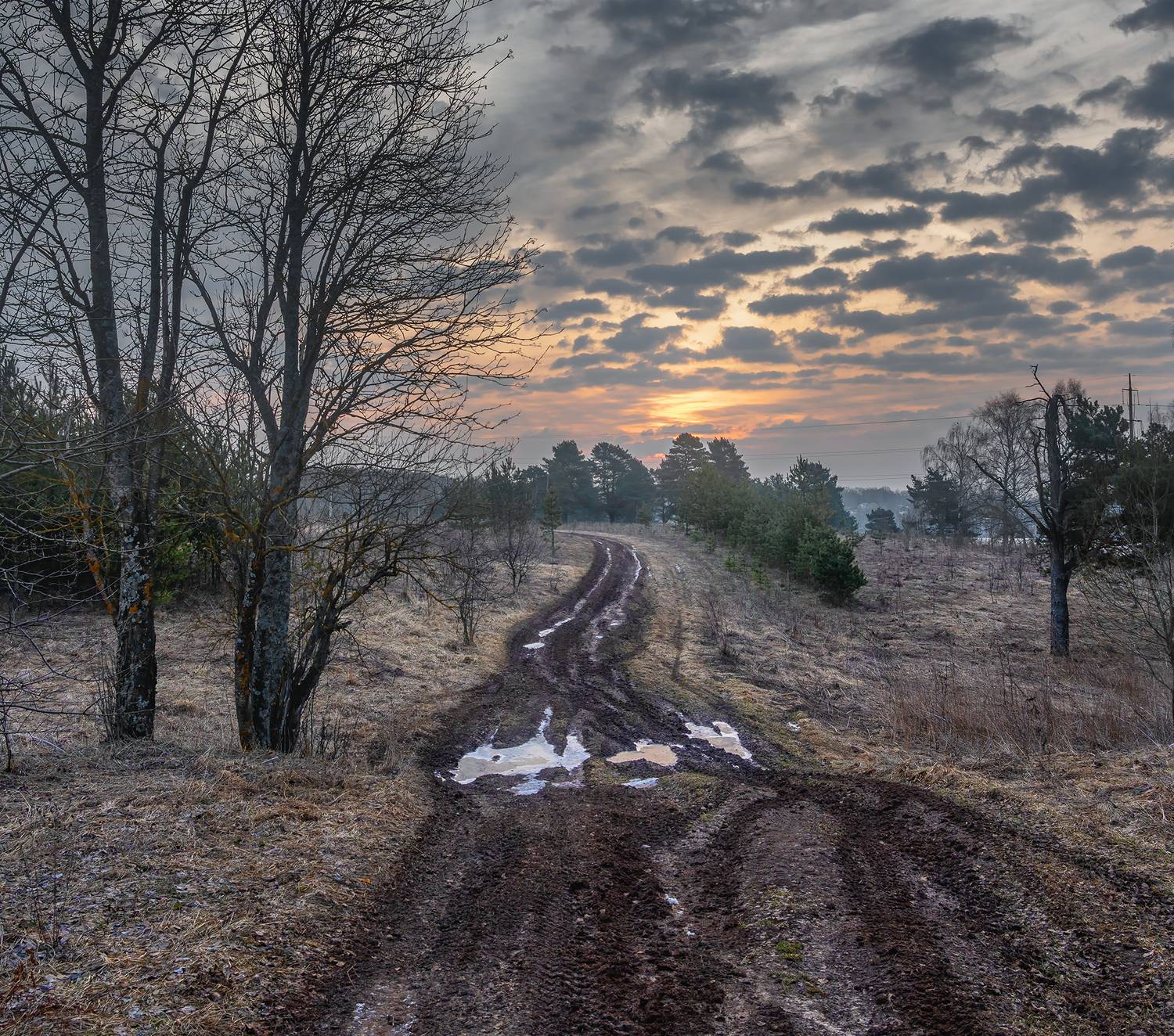 , Андреев Николай