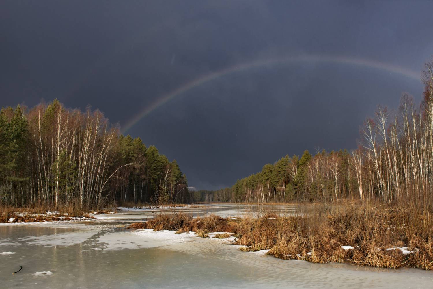 март черная порза дождь радуга весна серково, Алексеев Дмитрий