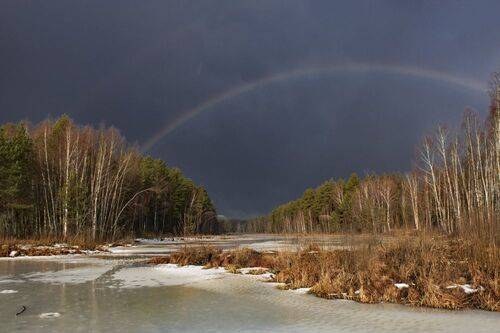 Весенняя радуга