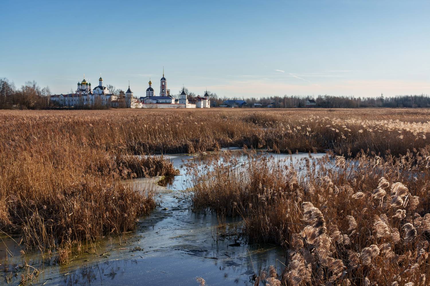 , Добродий Михаил