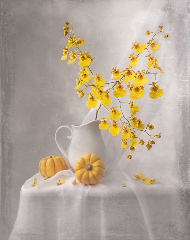 Yellow dream фото превью