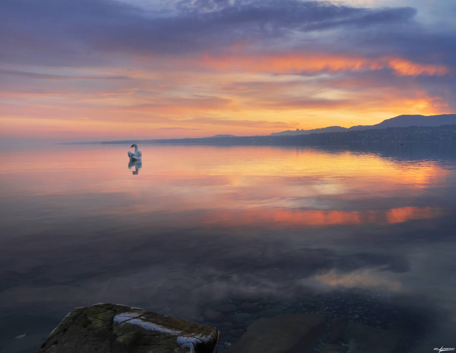 swiss, Матвеев Николай