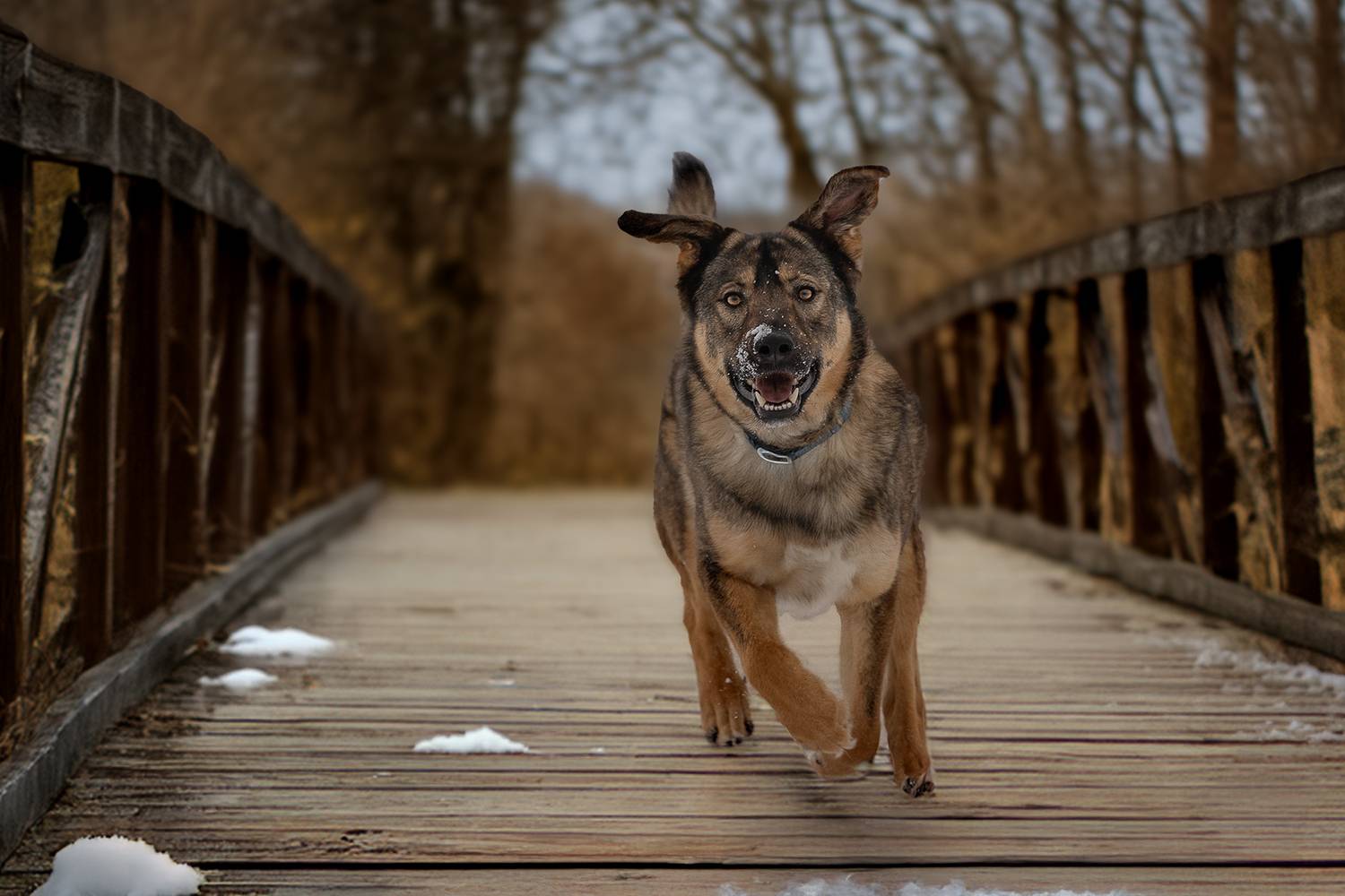 , Елена Самусенкова