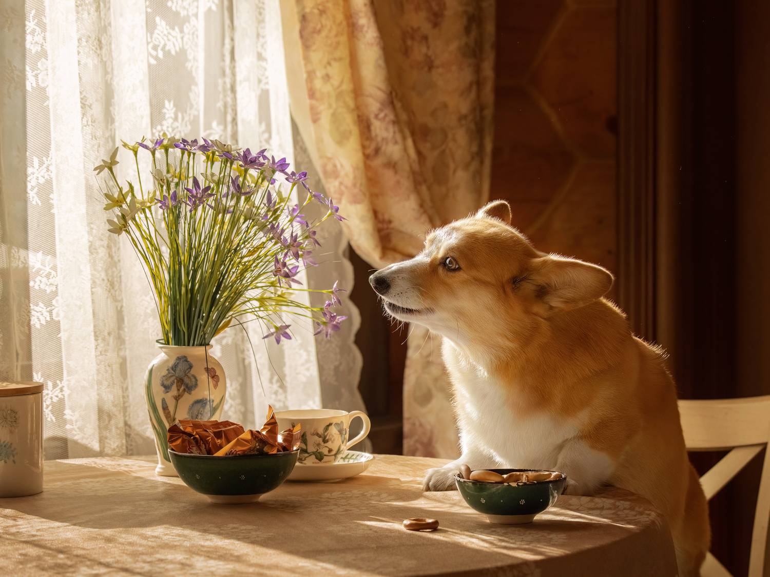 , Татьяна Тихомирова