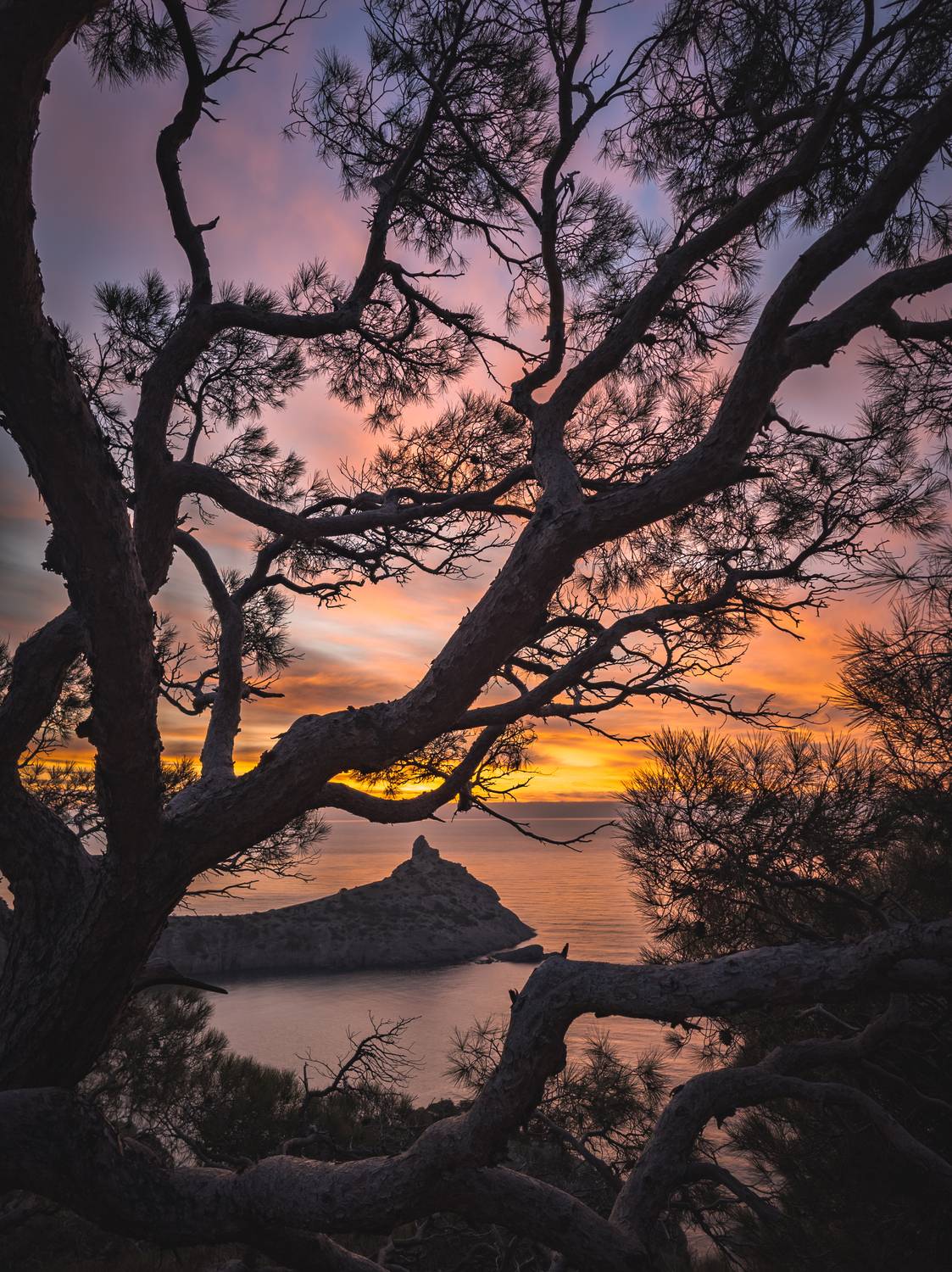 , Кривцов Андрей