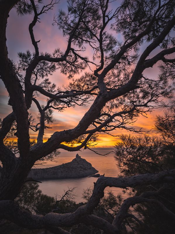Рассвет в Новом свете фото превью