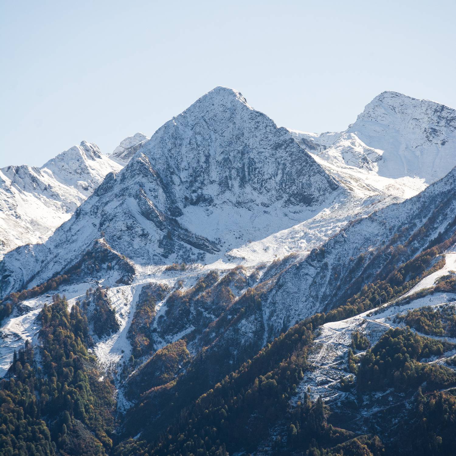 , Ян Сурогин