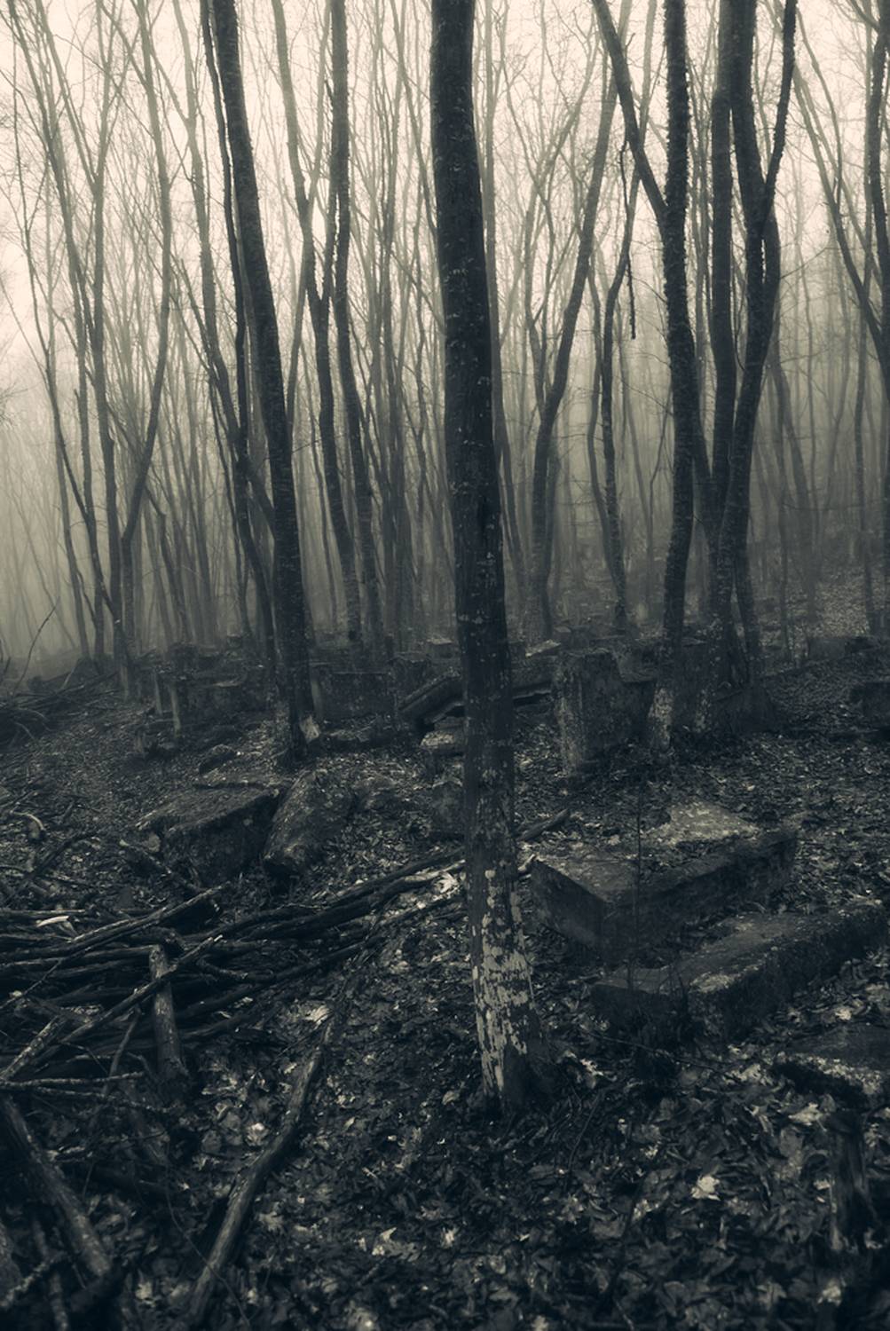 , Алексей Маслов