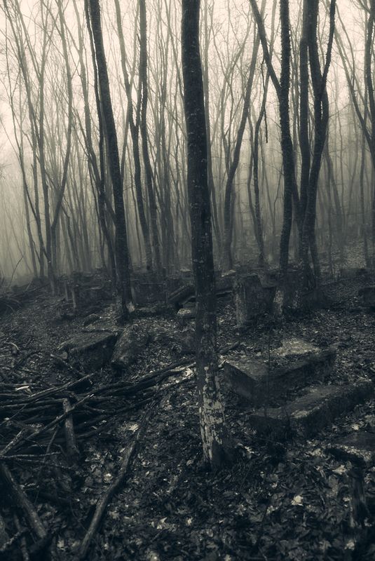 покой в забвенье тишины фото превью