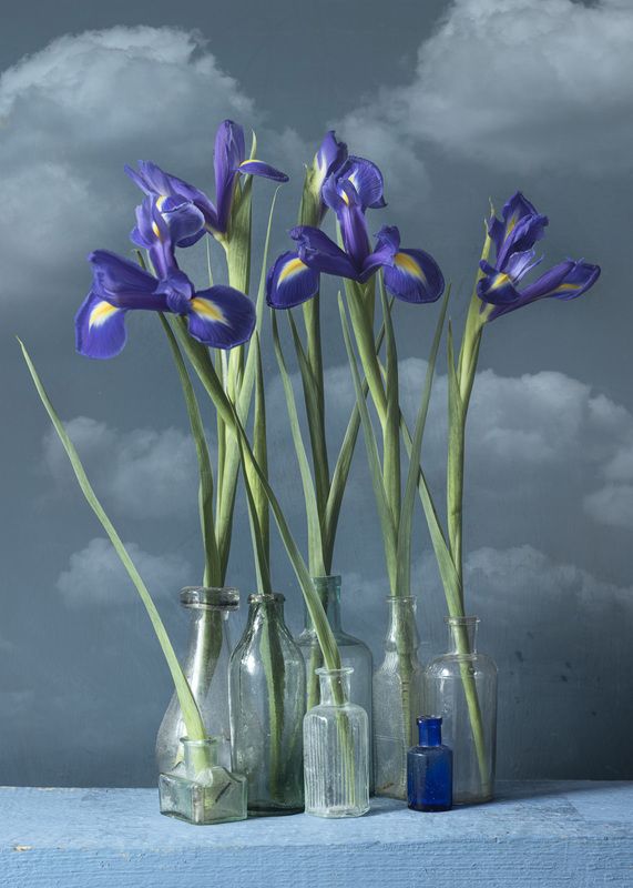 фото превью