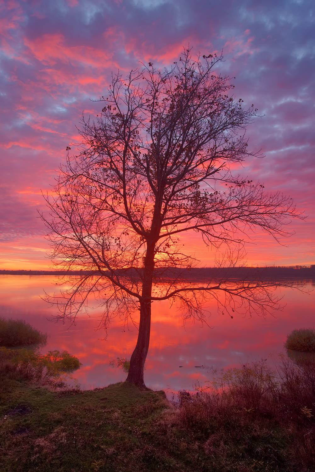 , Любослав Любомиров