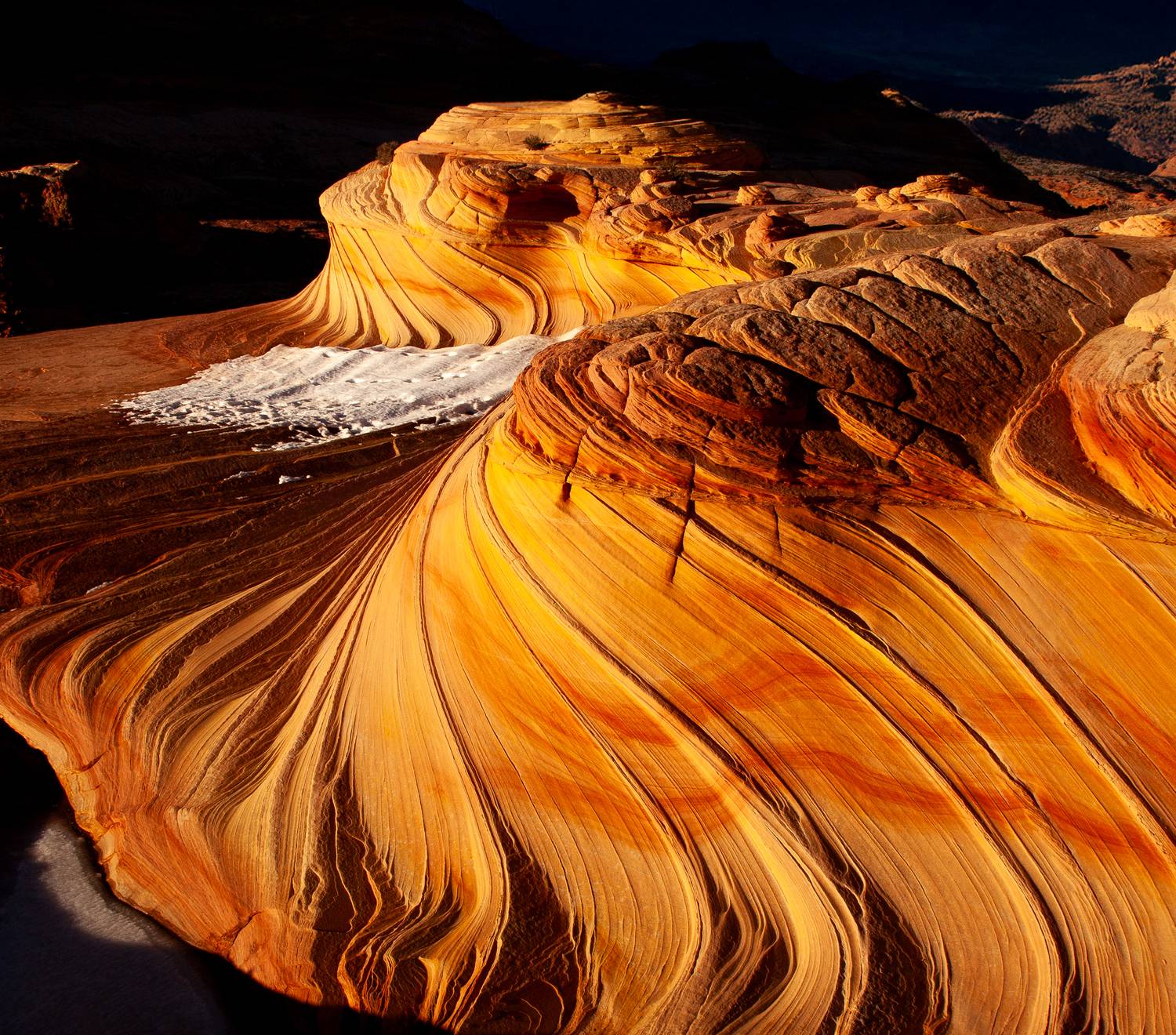 , Сулоев Алексей