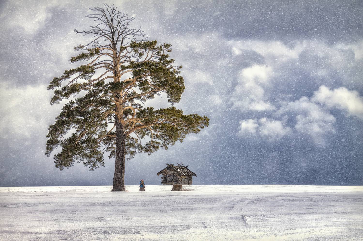 зима, сказка, одинококое дерево, избушка , баба яга., Юдинских Марина
