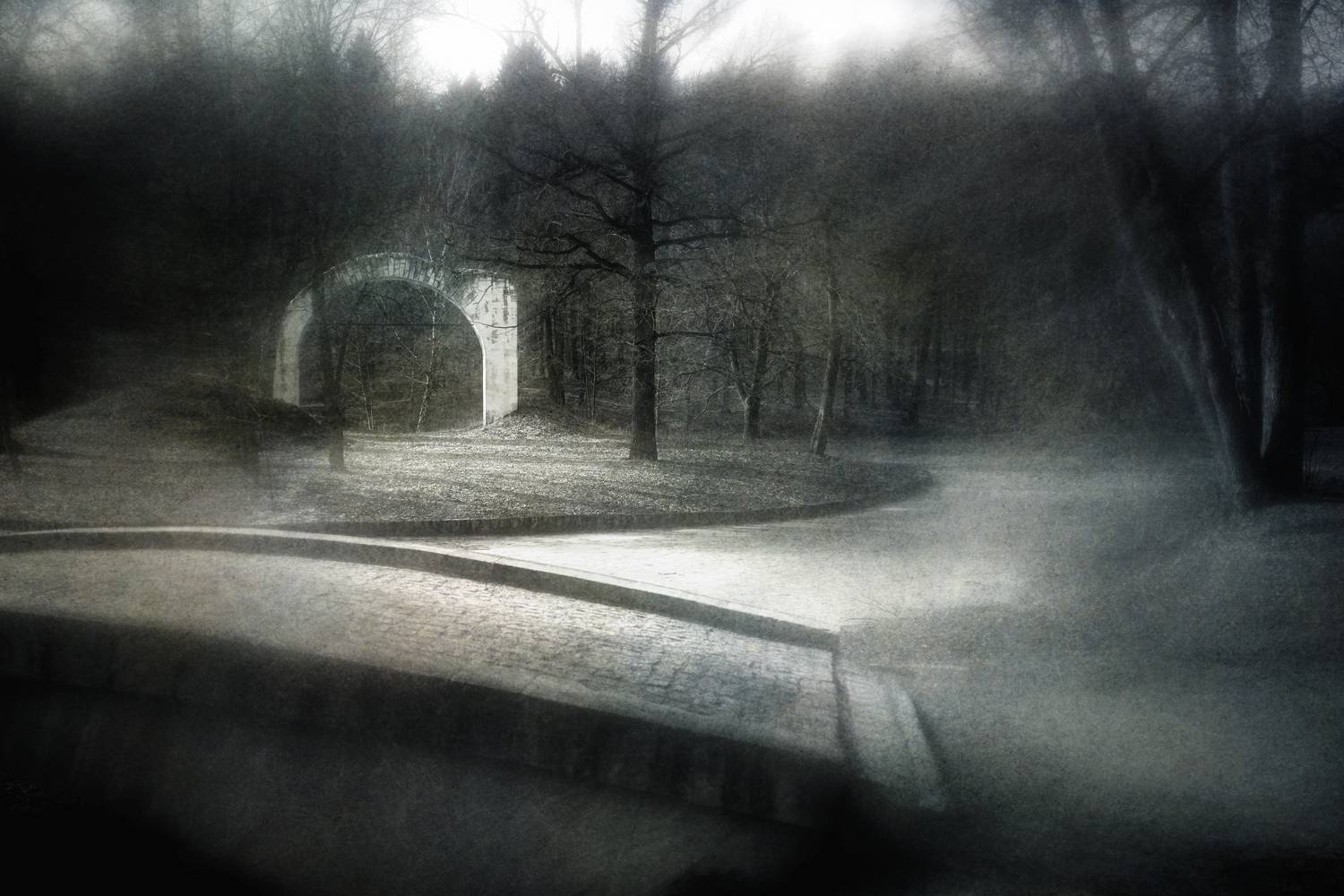 чб, пейзаж, парк, Сергей Кот