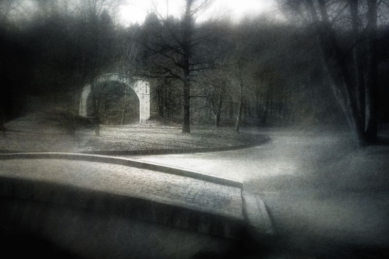 чб, пейзаж, парк Перед пробуждением. фото превью