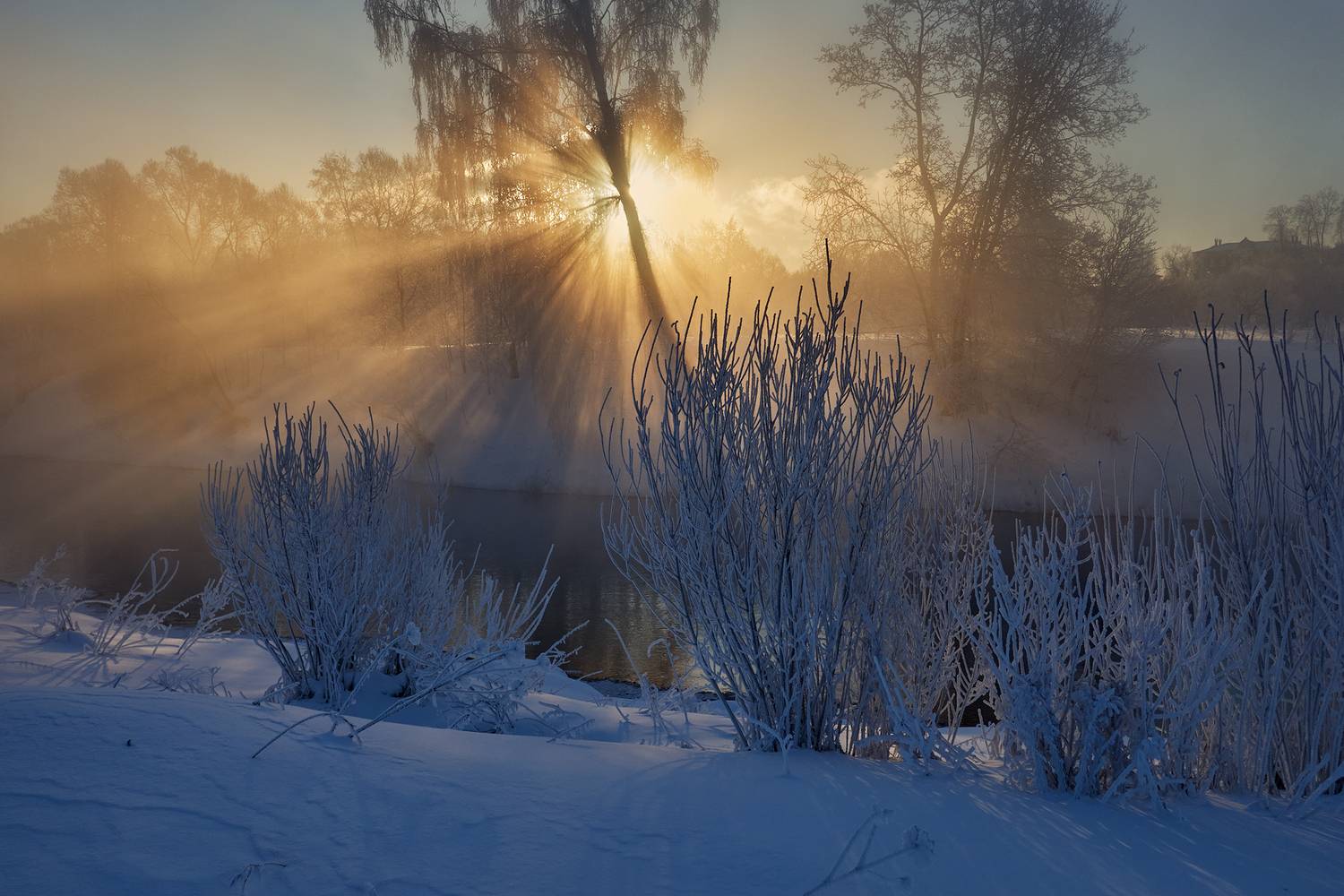 новый иерусалим, река истра, зима, мороз, иней, туман, Медведев Александр