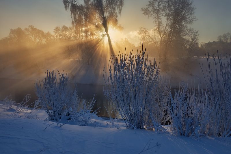 Январское утро фото превью